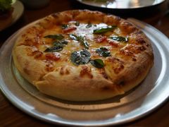 披萨-VESH COFFEE(定西路店)