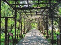 -老木棉·匠园