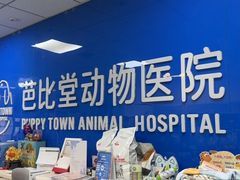 -芭比堂动物医院·CT·微创中心(新顺分院)