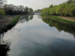 -大兴滨河森林公园