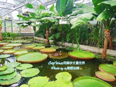 -北京植物园-展览温室