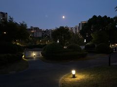 -泰康之家·申园