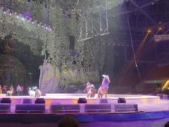 -灵玲国际马戏城