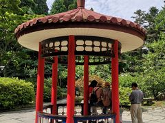 -庐山风景区花径公园