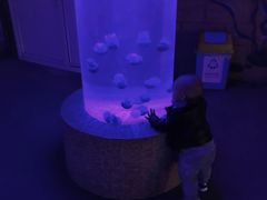 -石家庄极地海洋世界