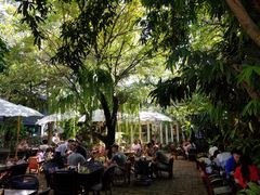 -Fern Forest Cafe