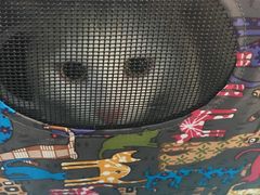-纳吉亚猫专科动物诊疗中心(蒋宅口分院)