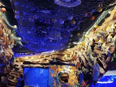 -芜湖新华联大白鲸海洋公园