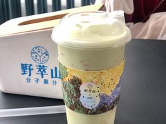 -野萃山·潮汕厚果汁(十亩地店)