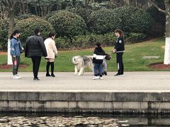 -尚贤河湿地