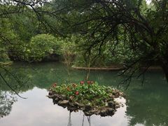 -贵阳市花溪国家城市湿地公园