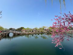 -无锡蠡湖国家湿地公园-蠡园
