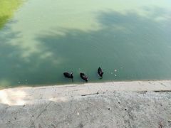 -辛玛王国游乐园