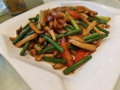 -新日月育才大酒店-中餐厅(环城北路店)