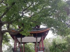 -南通濠河风景名胜区