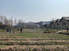 -乌村