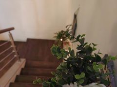 -宫七SPA·高端Massage(浦东大道店)