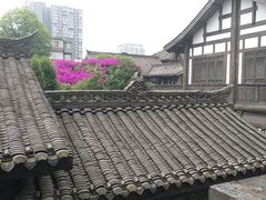 -星巴克臻选(成都宽窄巷子店)