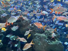 -成都浩海立方海洋公园