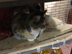 -老地方面馆(思南路店)