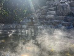 -徂徕山森林康养度假谷温泉