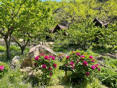-北京水岸山吧度假村(雁栖镇店)