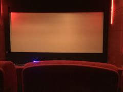 放映厅-奥斯卡升龙国际影城(RealD Cinema)