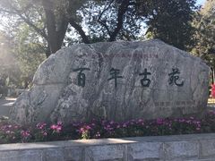 -龙沙公园