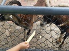 -长白岛森林公园