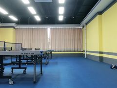 -乐旋乒乓球(广州西湾路店)