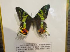 -蝴蝶泉公园