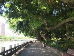 -光明港公园