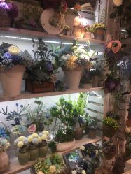 -新奇玩具工厂店