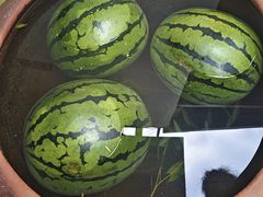 -包整·丝娃娃(一览甲秀楼风景店)