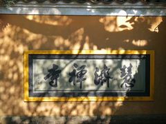 -普陀山慧济禅寺