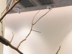 -喜茶(深圳海岸城店)