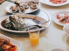 -南燕湾渔家码头