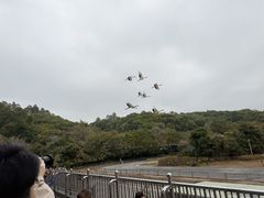 -深圳野生动物园