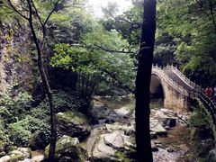 -牛背梁国家森林公园