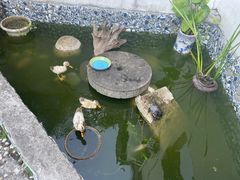 -她说户外烧烤团建(西湖店)