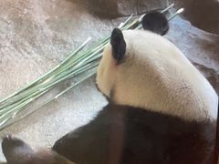 -宁波野生动物园