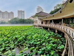 -荔湾湖公园