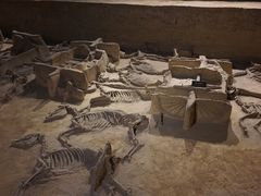 -洛阳周王城天子驾六博物馆