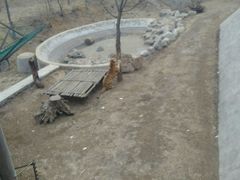 -石家庄市动物园