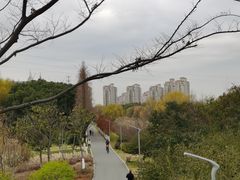 -昆山城市生态森林公园