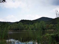 -石塘人家