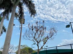 -观澜湖生态运动公社