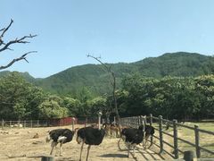 -西安秦岭野生动物园