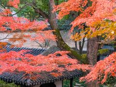 -拙政园