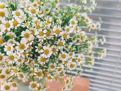 -想家粒科学探索中心(青林湾店)